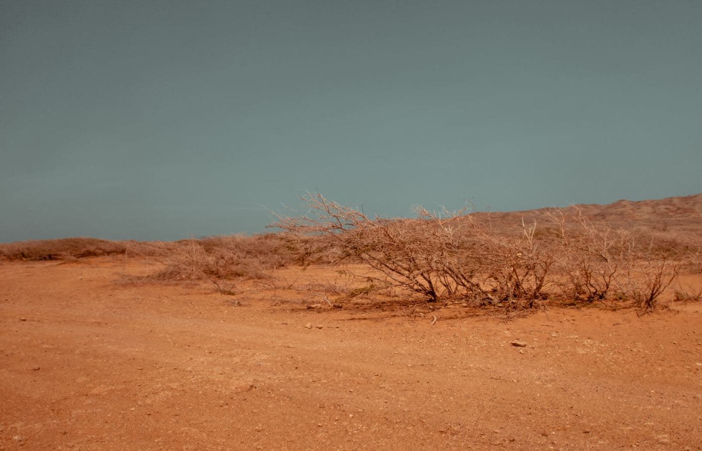 A wide desert landscape under a clear sky